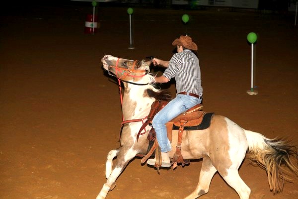 Rodeo and Wild West Festival